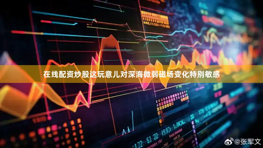 在线配资炒股这玩意儿对深海微弱磁场变化特别敏感